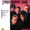 Spider Murphy Gang - Ich schau' dich an