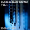 Blues Backing Tracks, Vol. 1 (feat. Hanspeter Kruesi)