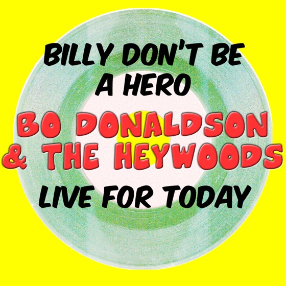 Cover artwork for Billy Don't Be A Hero