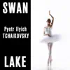 Swan Lake album lyrics, reviews, download