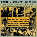 North Mississippi Allstars - Be So Glad