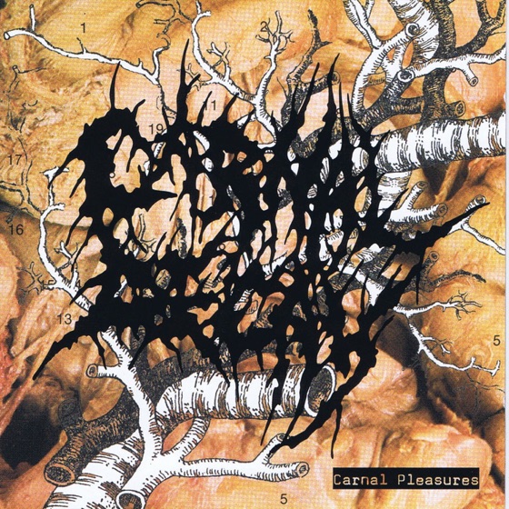 Cover artwork for Putrid Fucked Up Dip Potato