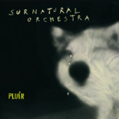 Pluir - Surnatural Orchestra