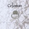 Talisman - Celloman lyrics