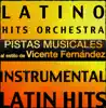 Pistas Musicales al estilo de Vicente Fernández (Instrumental Karaoke Tracks) album lyrics, reviews, download