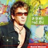 David Blanco - Fiesta