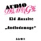 Audiodamage (Peter Gelderblom & Muzikjunki Mix) - Kid Massive lyrics