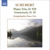 Franz Schubert - Piano Trio in E Flat, Op. 100