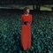Best Friend - Helen Reddy lyrics