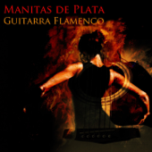 Guitarra Flamenco - Manitas de Plata