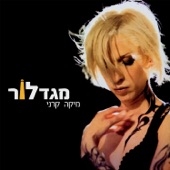 שיר מספר אחת artwork