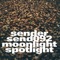 Moonlight (Daniel Dexter Remix) - Benno Blome & Mijk van Dijk lyrics
