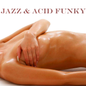 Jazz & Acid Funky - Vários intérpretes