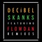 Skanks (I Killed Kenny Remix) [feat. Flowdan] - DECiBEL lyrics