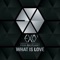 What Is Love (Korean Version) - EXO-K lyrics