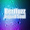 Liquid Soul - Bertfuzz lyrics