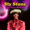 I Can't Turn You Loose - Sly Stone lyrics