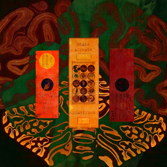 Cover artwork for Dust In Your Pocket