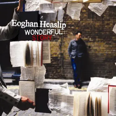 Wonderful Story - Eoghan Heaslip