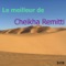 Le meilleur de Cheikka Remitti