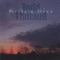Beautiful Dream - Todd Thibaud lyrics