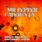 Cadereyta - Mr Pepper lyrics