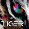 Eye of the Tiger (Single) artwork