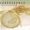 Sextessense: A Tribute to John Stevens and the SME