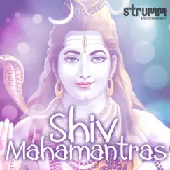 Shiv Mahamantras by Shankar Mahadevan, Anuradha Paudwal & Om Voices album reviews, ratings, credits