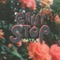 Can't Stop - Mayka lyrics