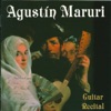 Agustín Maruri & Michael Kevin Jones - Guitar Concerto in G minor: I. Un poco allegre, che andante
