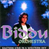 Biddu Orchestra - Eastern Journey