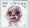 Voices: VII. Heimkehr song lyrics