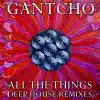 All The Things - Deep House Remixes album lyrics, reviews, download