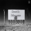 Drive-In Memories 8, 2010