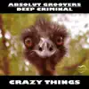 Stream & download Crazy Things - Single