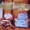 Everything's Cool - Richard Julian lyrics