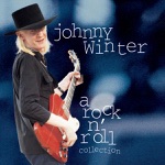 Johnny Winter - Come On In My Kitchen