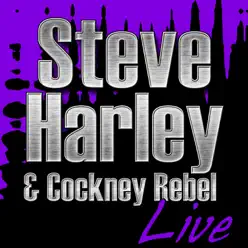 Steve Harley & Cockney Rebel Live - Steve Harley and Cockney Rebel