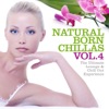 Natural Born Chillas, Vol. 4 - The Ultimate Lounge & Chill Out Experience