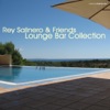Rey Salinero & Friends - Lounge Bar Collection artwork