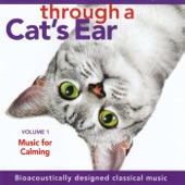 Through a Cat's Ear: Music for Calming, Vol. 1 artwork