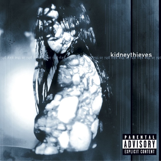 Cover artwork for spank (KMFDM Remix)
