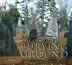 The Old Burying Ground, Book 2: I. This Transitory Scene song reviews