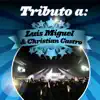 Tributo a Luis Miguel & Christian Castro album lyrics, reviews, download