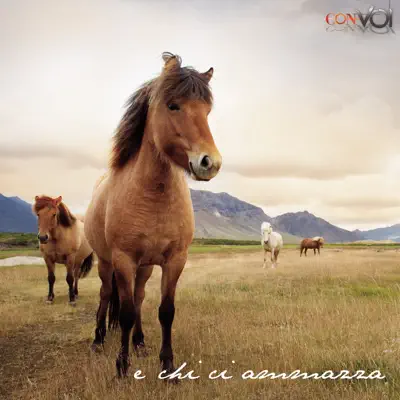 E chi ci ammazza - Single - Claudio Baglioni