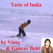 Taste of India