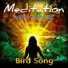 Bird Song album lyrics, reviews, download