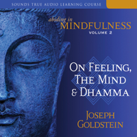 Joseph Goldstein - Abiding in Mindfulness, Volume 2: On Feeling, The Mind, And Dhamma artwork