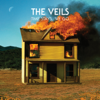 Time Stays, We Go (Deluxe Version) - The Veils